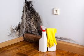 Best Residential Mold Inspection & Testing  in , IN